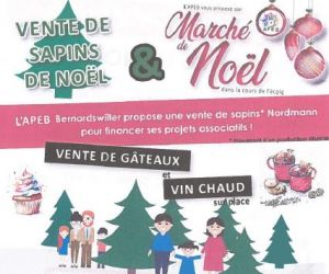 Vente de sapins par l'APEB